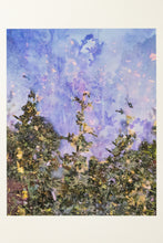 Load image into Gallery viewer, Hallucination (Range Pixel Stack, 13 Images)