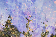 Load image into Gallery viewer, Hallucination (Range Pixel Stack, 13 Images)