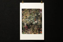 Load image into Gallery viewer, Grandpa's Flowers Post-Mortem (Focus Stack, 74 Images, Re-stacked 5 Times Upon Itself)