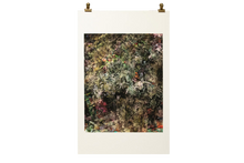 Load image into Gallery viewer, Grandpa's Flowers Post-Mortem (Focus Stack, 74 Images, Re-stacked 5 Times Upon Itself)