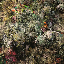 Load image into Gallery viewer, Grandpa's Flowers Post-Mortem (Focus Stack, 74 Images, Re-stacked 5 Times Upon Itself)