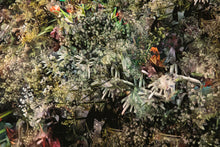 Load image into Gallery viewer, Grandpa's Flowers Post-Mortem (Focus Stack, 74 Images, Re-stacked 5 Times Upon Itself)