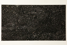 Load image into Gallery viewer, Hive No. 2 (59 Images)