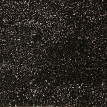 Load image into Gallery viewer, Hive No. 2 (59 Images)