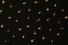 Load image into Gallery viewer, Etoiles de Feu