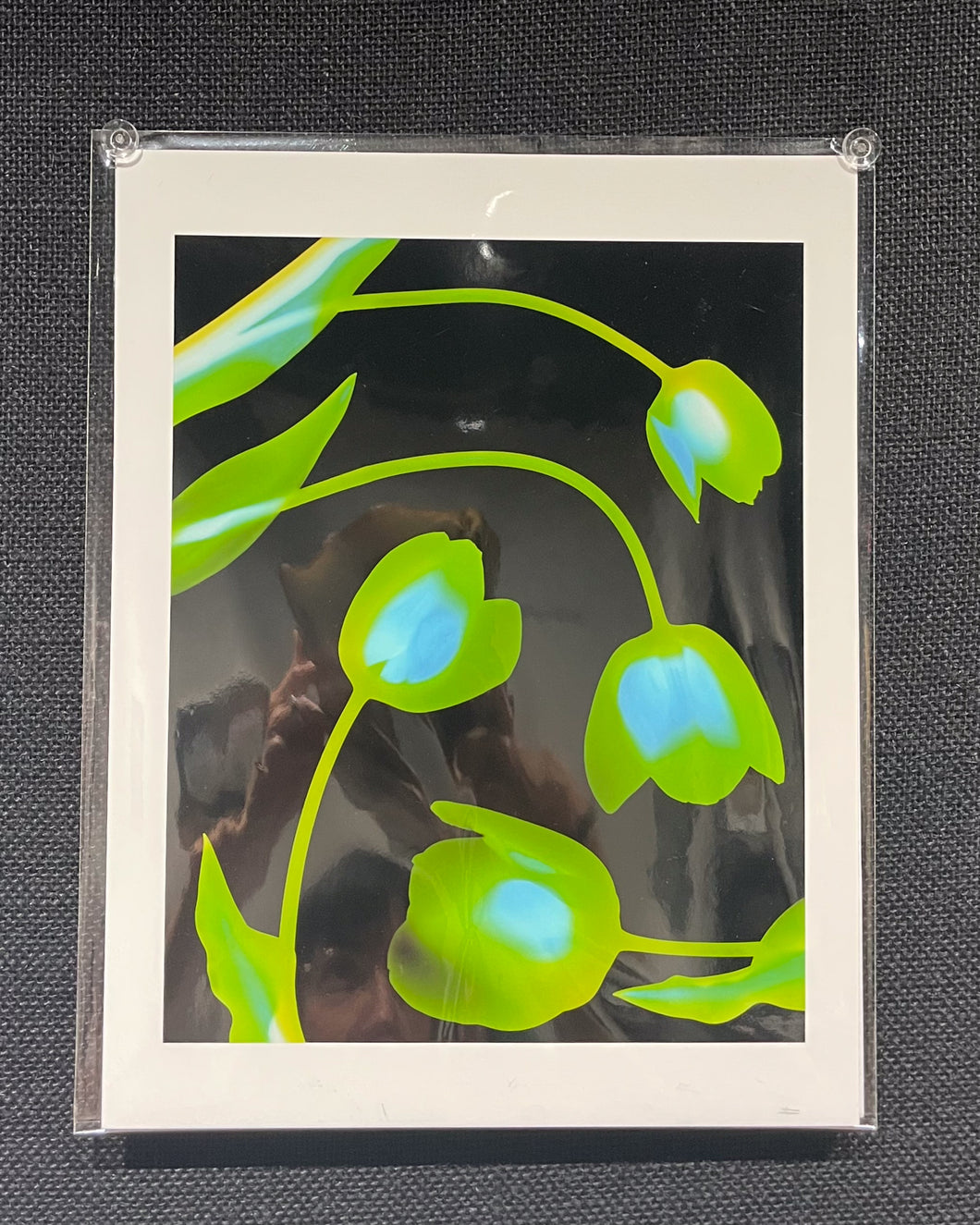 Tulips Print by Amina Gingold