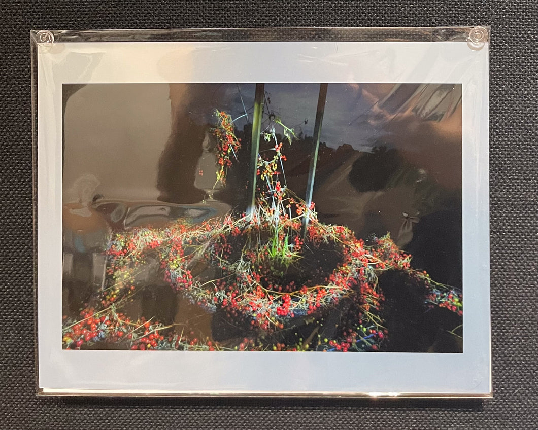 Tomato Vine Print by Sara Arno