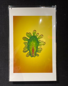 Altar Piece Print by David Anaya Maya