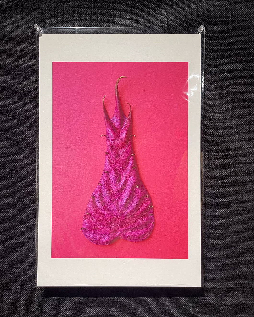 Trident Print by David Anaya Maya