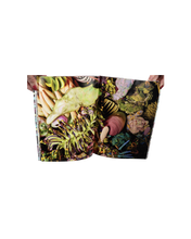 Load image into Gallery viewer, Mother Tree Book
