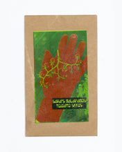 Load image into Gallery viewer, Sara's Galapagos Tomato Seeds

