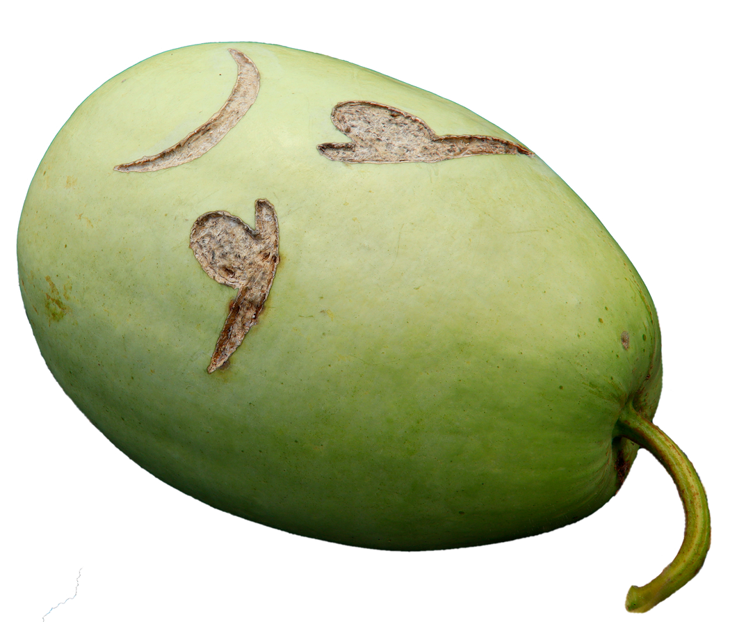 Maddie Garden Gourd