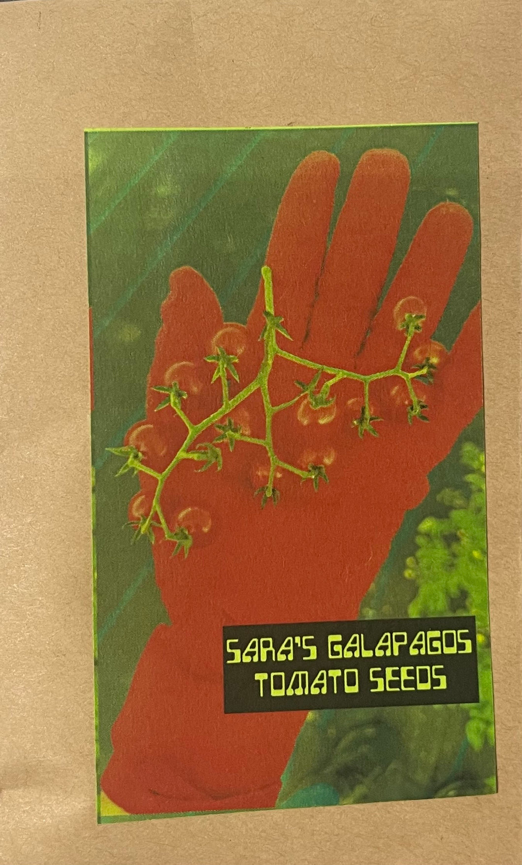 Sara's Galapagos Tomato Seeds