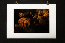 Load image into Gallery viewer, ORTIGIA #2
