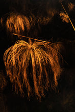 Load image into Gallery viewer, ORTIGIA #2
