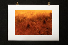 Load image into Gallery viewer, ORTIGIA #4
