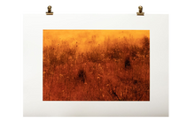 Load image into Gallery viewer, ORTIGIA #4
