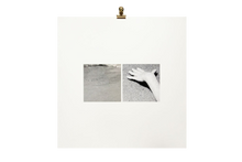 Load image into Gallery viewer, OSTIA #1
