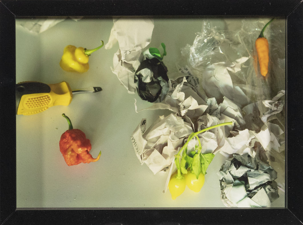 Sara Arno - Small Framed Print 1