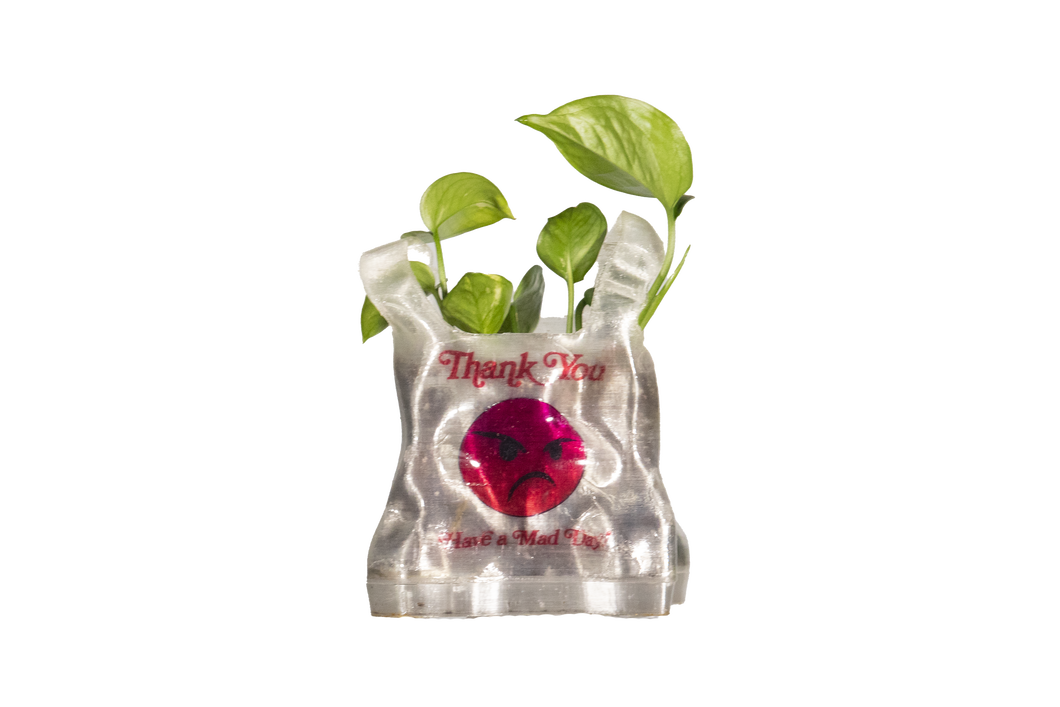 Marianna Peragallo x SoMad 3D Printed Planter 2/2