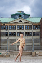 Load image into Gallery viewer, Mars
